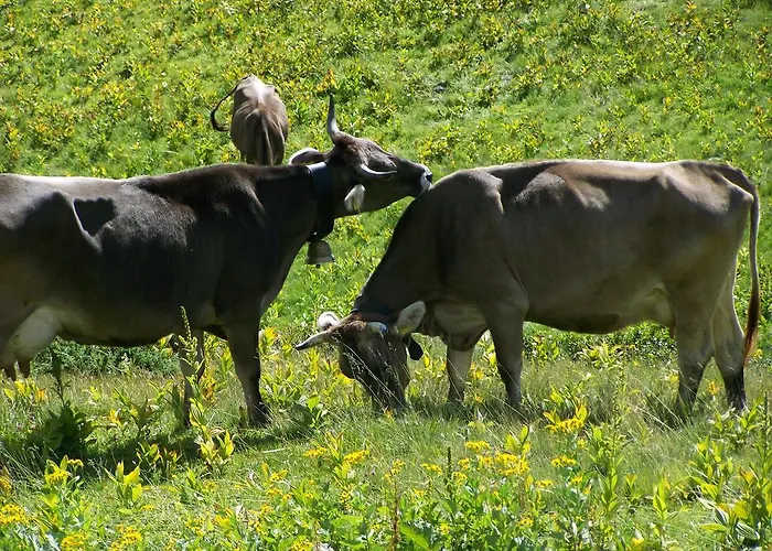 דירה Ebert אוברסטדורף